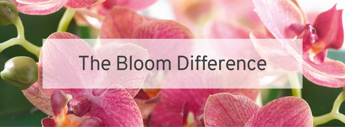 Bloom | Hand Crafted Silk Flowers